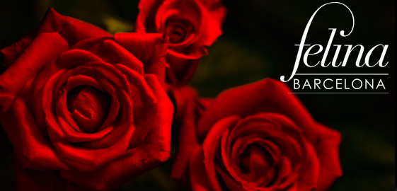Un Sant Jordi erótico en Barcelona